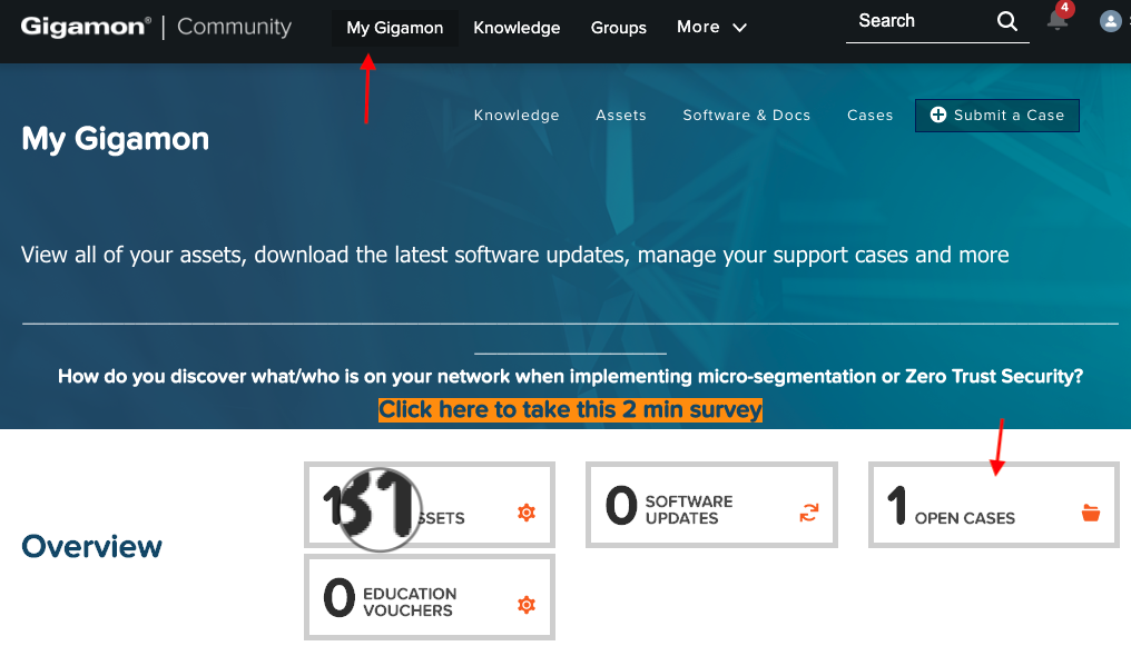 Upload logs to case via Gigamon Community directly to the case